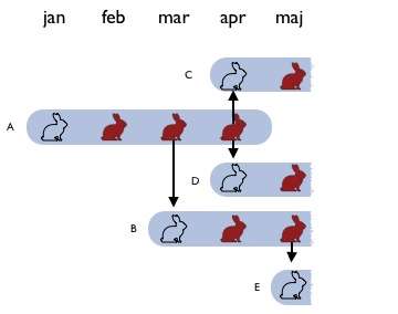 \includegraphics[width=.5\textwidth ]{img/fib2.jpg}